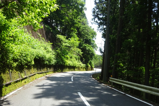 DSC04118.jpg
