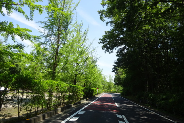 DSC04121.jpg
