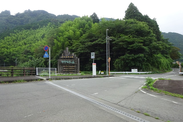 DSC04162.jpg