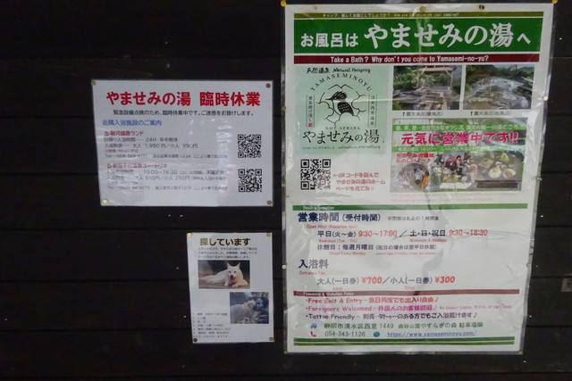 DSC04170.jpg