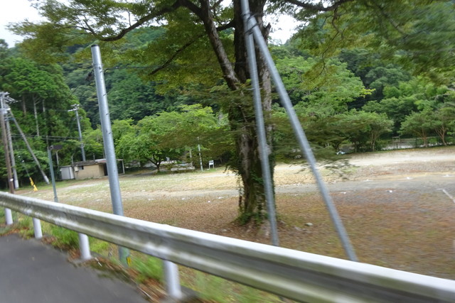 DSC04174.jpg