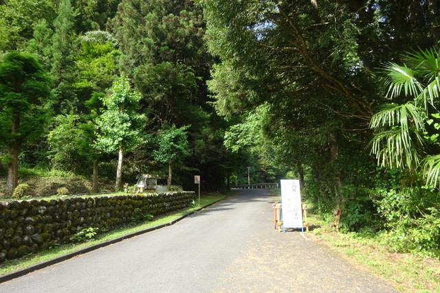 DSC04182.jpg