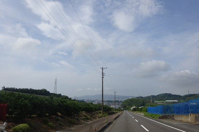 DSC04189.jpg