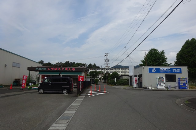 DSC04195.jpg