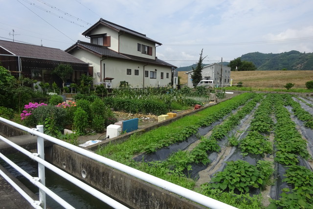 DSC04196.jpg