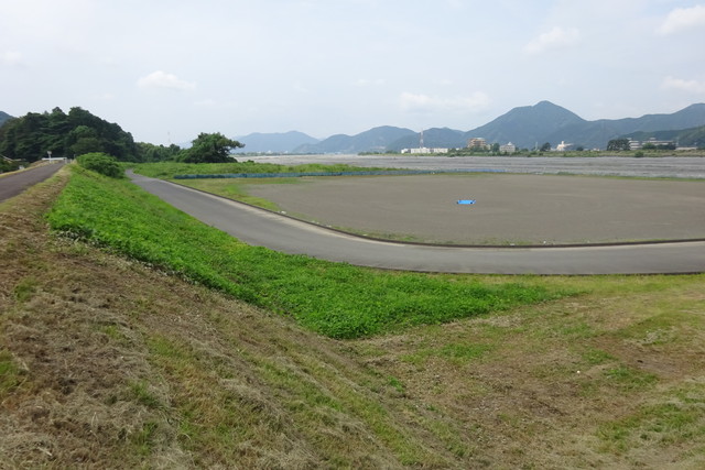DSC04201.jpg
