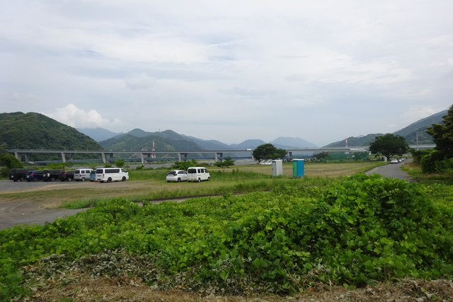 DSC04203.jpg