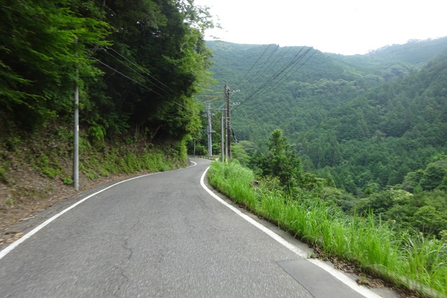 DSC04214.jpg