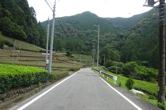 DSC04216.jpg