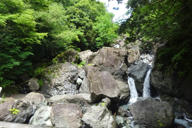 DSC04220.jpg