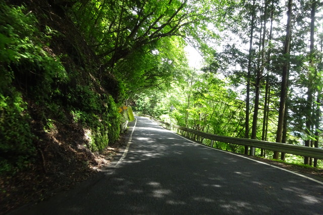 DSC04229.jpg