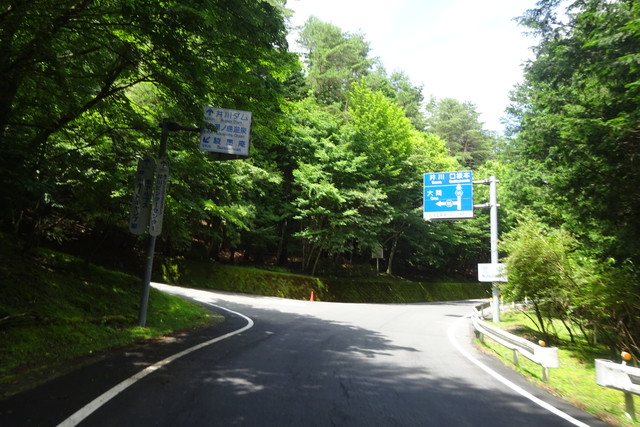 DSC04230.jpg