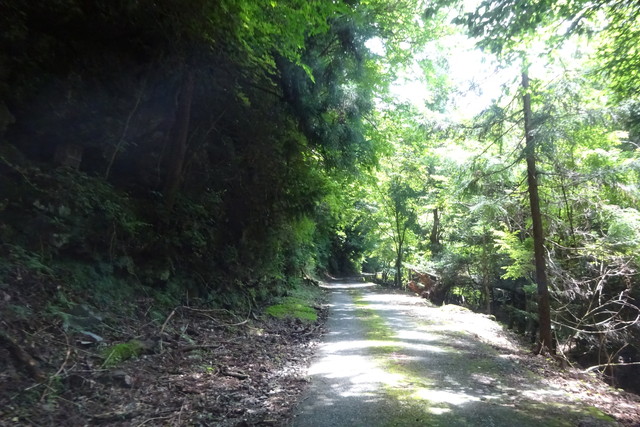 DSC04257.jpg