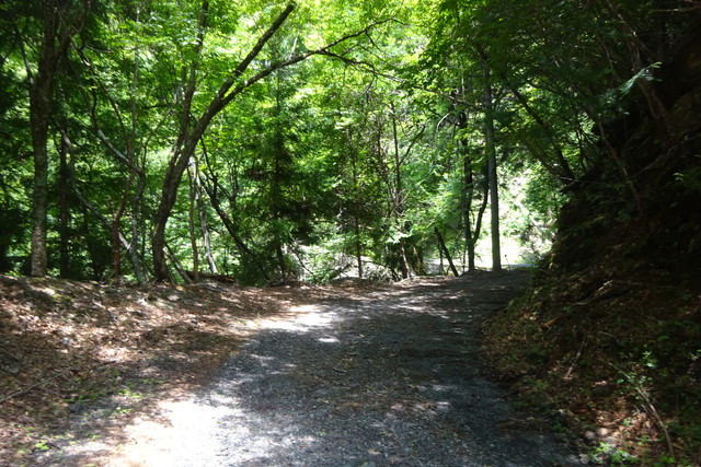 DSC04259.jpg