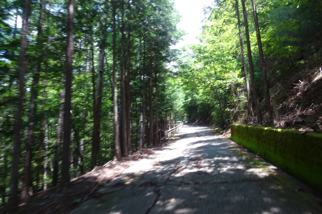 DSC04264.jpg