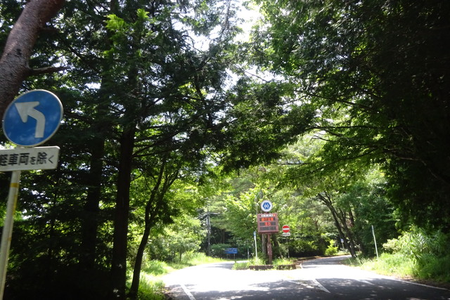 DSC04273.jpg