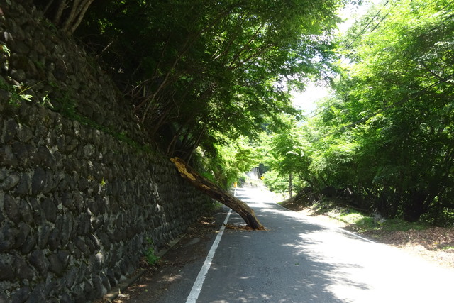 DSC04277.jpg