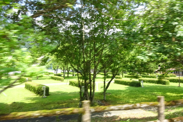 DSC04298.jpg