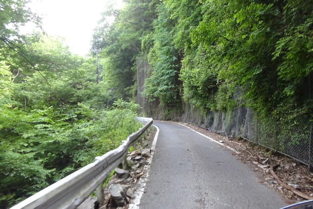 DSC04306.jpg