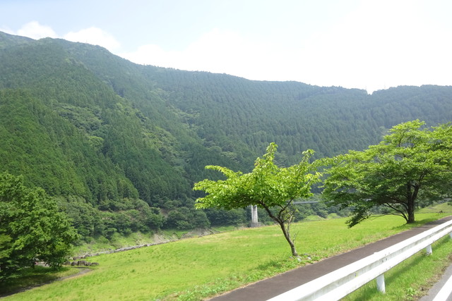 DSC04312.jpg