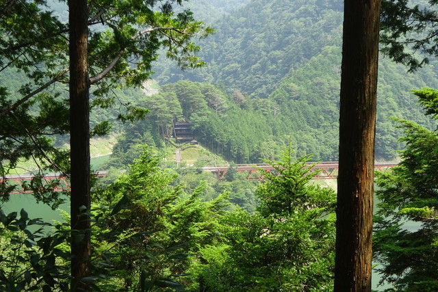 DSC04316.jpg