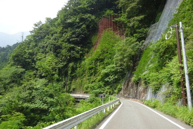DSC04325.jpg