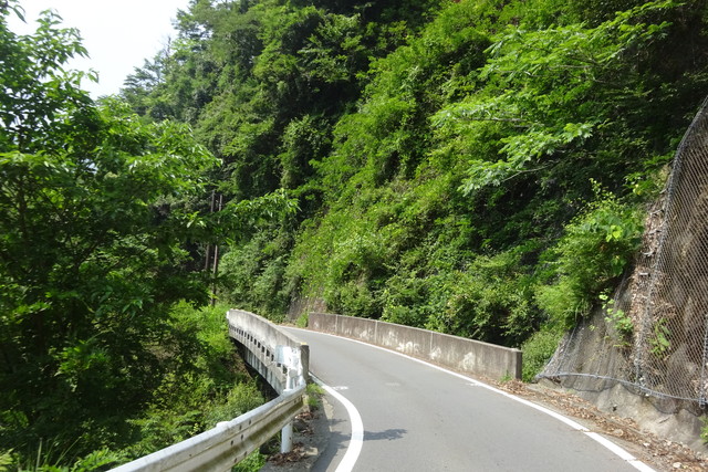 DSC04326.jpg