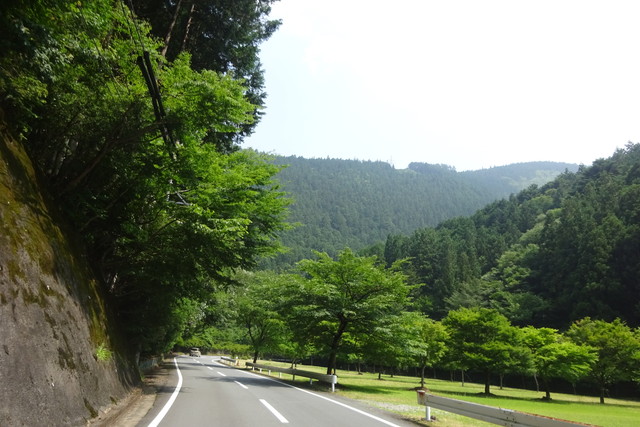 DSC04332.jpg