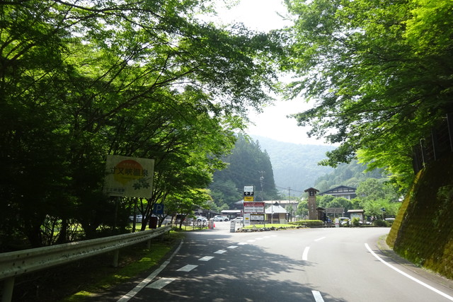 DSC04333.jpg