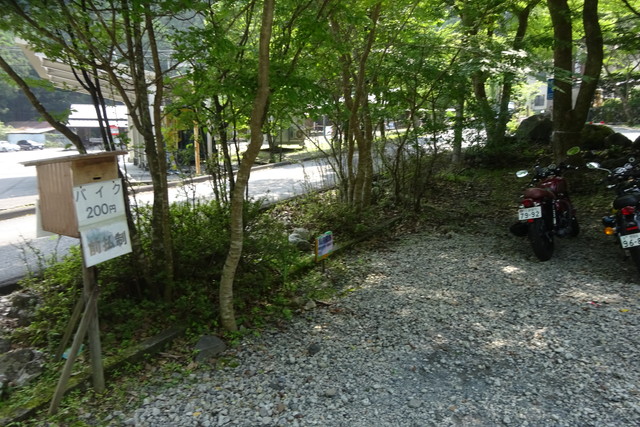 DSC04334.jpg