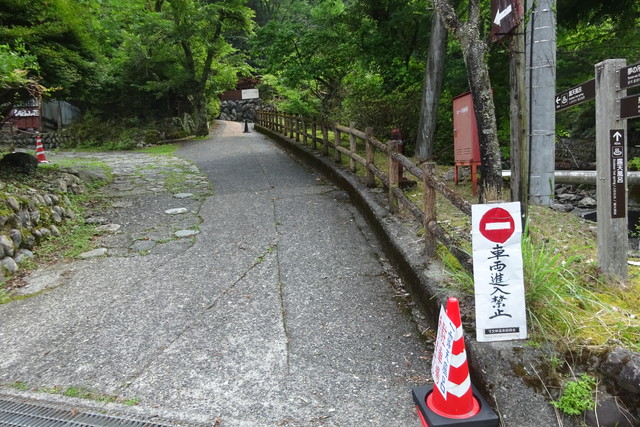DSC04343.jpg