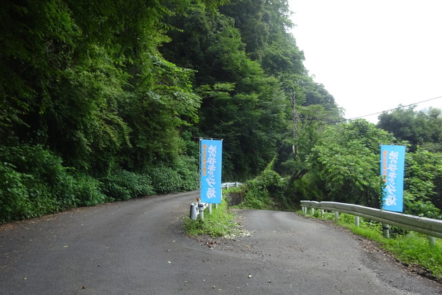 DSC04356.jpg