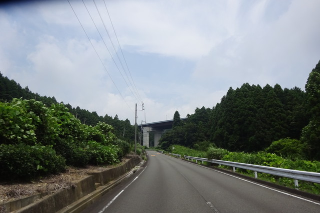 DSC04368.jpg