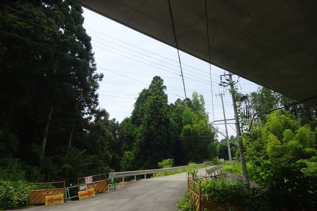 DSC04373.jpg