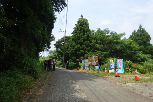 DSC04376.jpg
