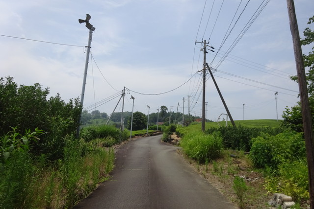 DSC04377.jpg