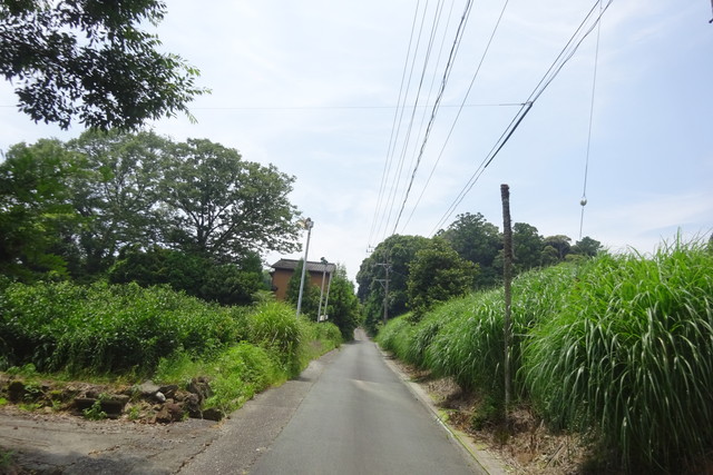DSC04381.jpg