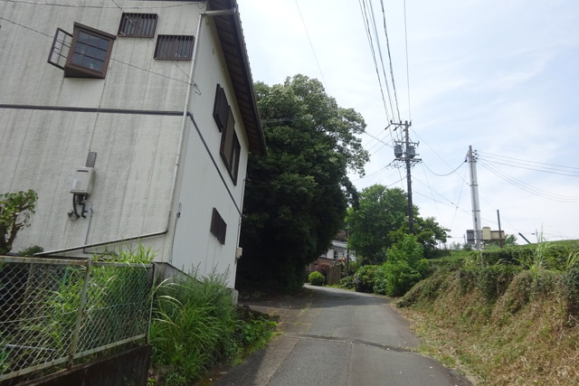 DSC04382.jpg