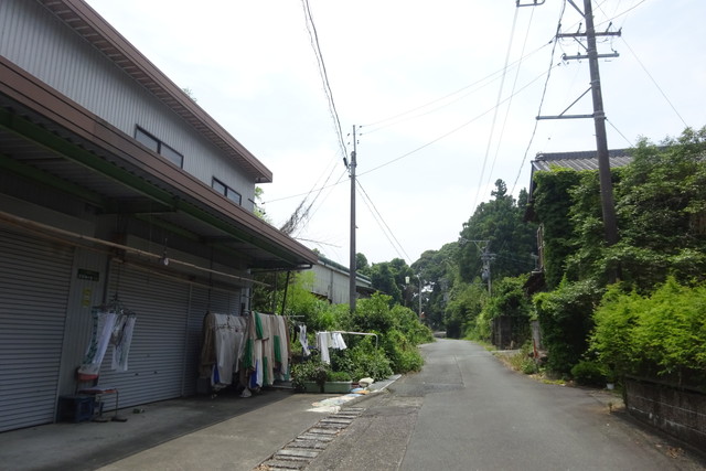 DSC04383.jpg