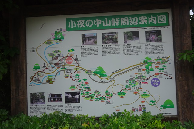 DSC04385.jpg