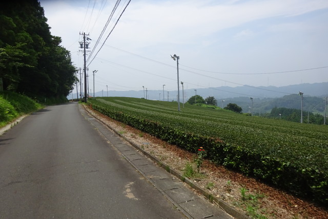 DSC04387.jpg