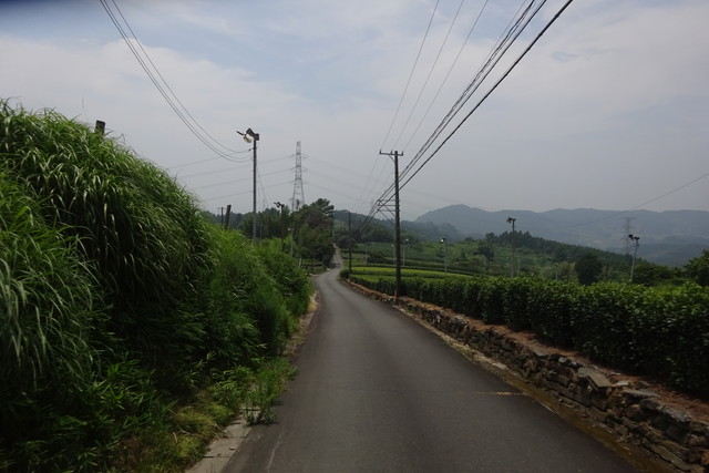DSC04389.jpg