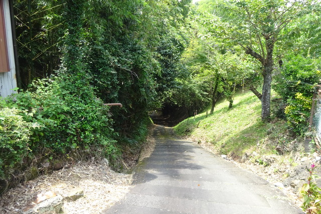 DSC04391.jpg