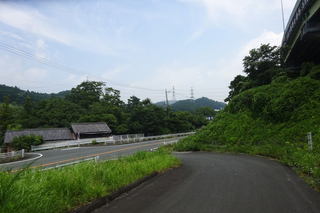 DSC04394.jpg