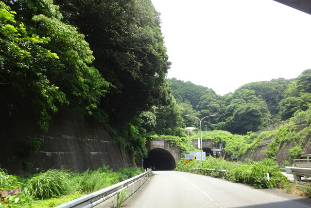 DSC04397.jpg
