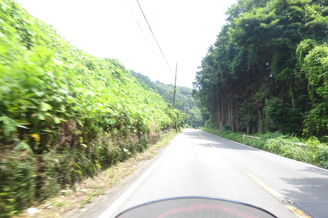DSC04403.jpg