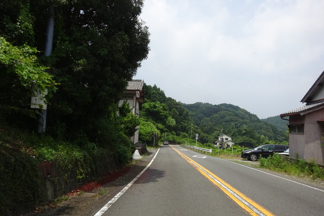 DSC04407.jpg