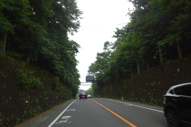 DSC04415.jpg