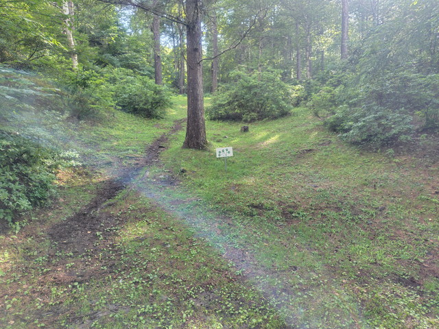 250726154338153.jpg