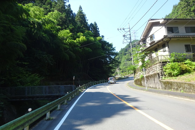 DSC04495.jpg
